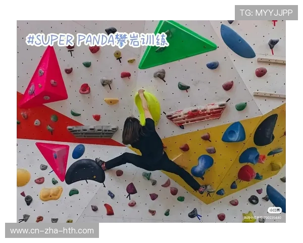 成都攀岩队耐力对比独家分析揭示训练方法与表现差异 成都攀岩队耐力对比独家分析揭示训练方法与表现差异