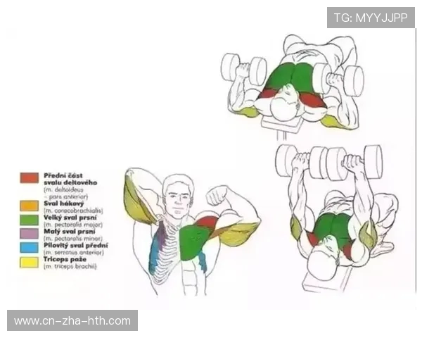 全面提升身体素质的健身计划从入门到进阶全方位指导